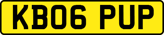 KB06PUP