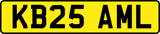 KB25AML