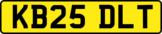 KB25DLT