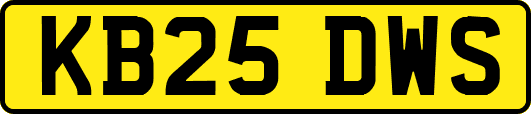 KB25DWS