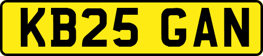 KB25GAN
