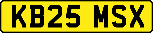 KB25MSX