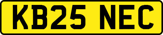 KB25NEC