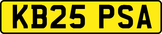 KB25PSA