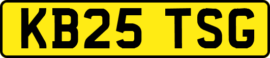 KB25TSG