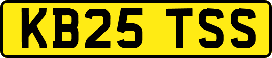 KB25TSS