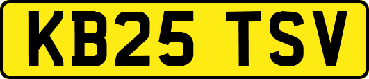 KB25TSV