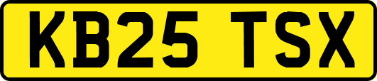 KB25TSX
