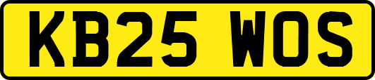 KB25WOS