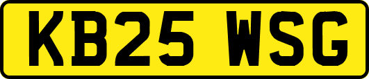 KB25WSG