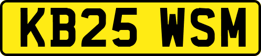 KB25WSM