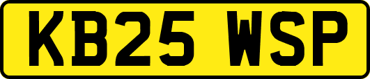 KB25WSP