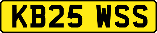 KB25WSS