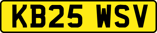 KB25WSV