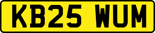 KB25WUM