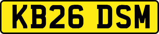 KB26DSM
