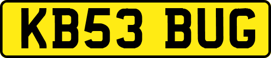 KB53BUG
