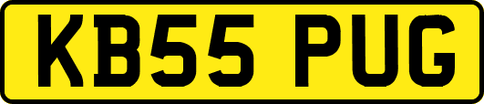 KB55PUG