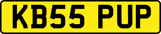 KB55PUP