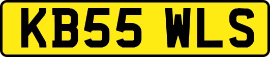 KB55WLS