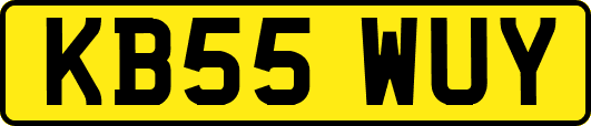 KB55WUY