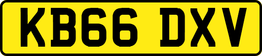KB66DXV