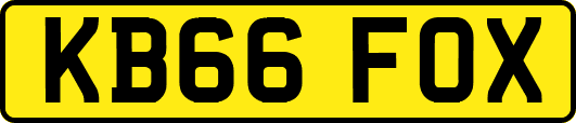 KB66FOX