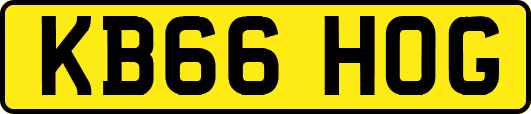 KB66HOG