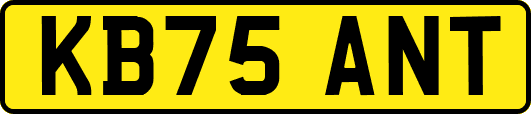 KB75ANT