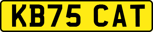 KB75CAT