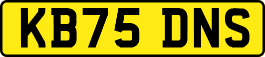 KB75DNS