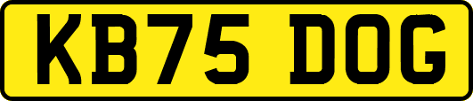 KB75DOG