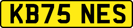 KB75NES