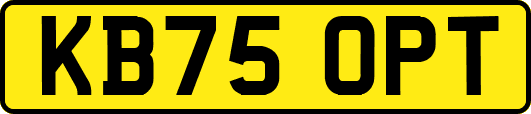 KB75OPT