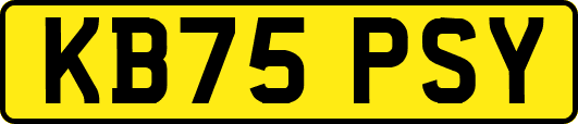 KB75PSY