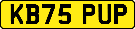 KB75PUP