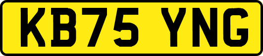 KB75YNG