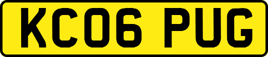 KC06PUG