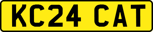KC24CAT