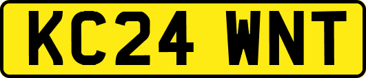 KC24WNT