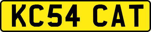 KC54CAT