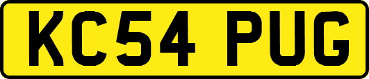 KC54PUG