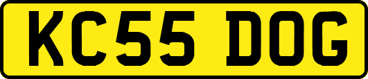 KC55DOG