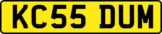 KC55DUM