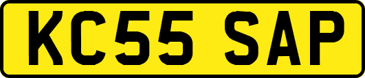 KC55SAP