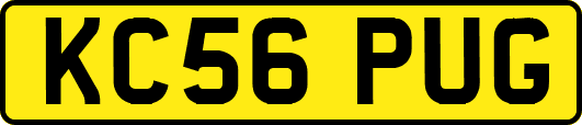 KC56PUG