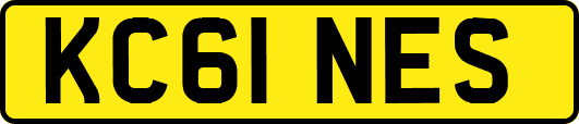 KC61NES