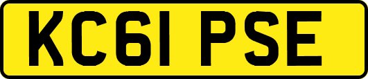 KC61PSE