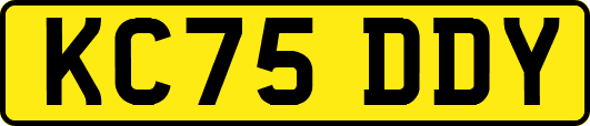 KC75DDY