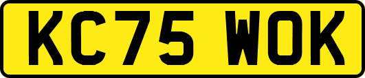 KC75WOK